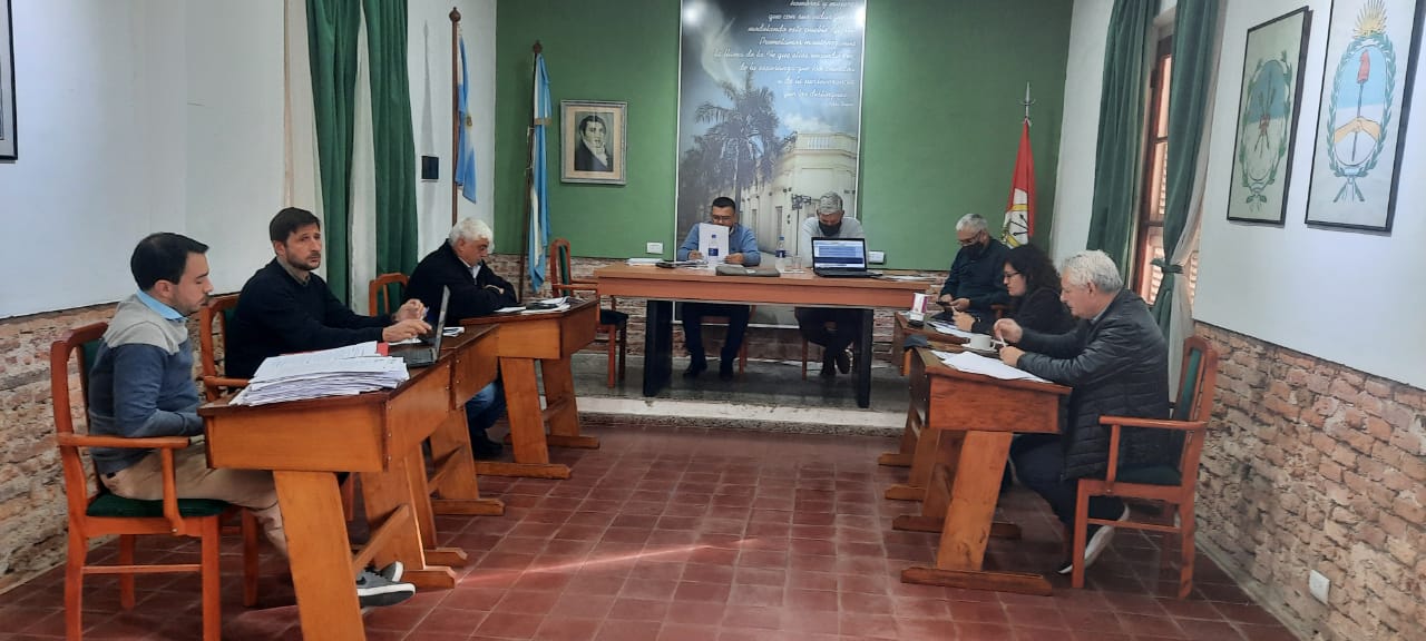 Actividad Legislativa de Borla y Grandotti